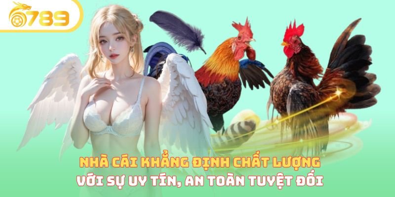 Nhà điều hành khẳng định chất lượng với sự uy tín, an toàn tuyệt đối 