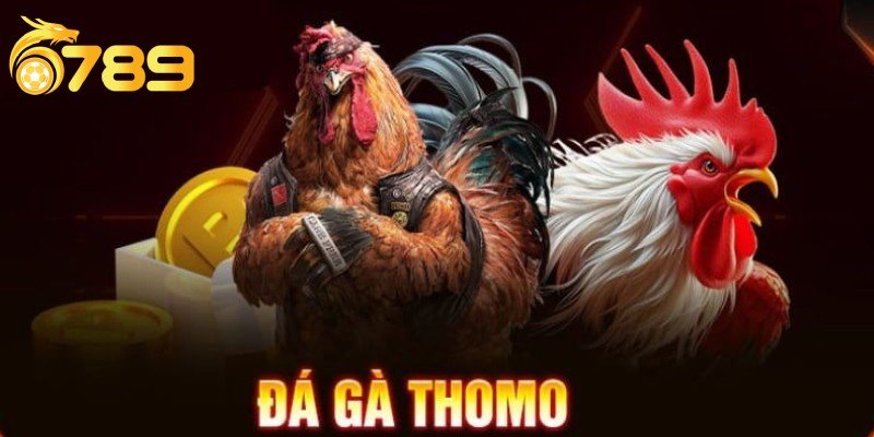đá gà