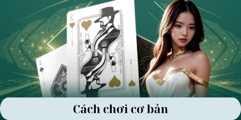 Rồng hổ 6789