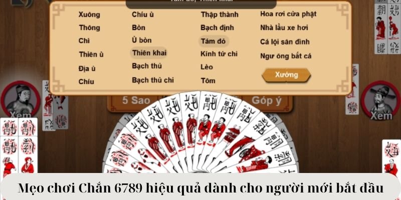 Mẹo chơi Chắn 6789 hiệu quả dành cho người mới bắt đầu