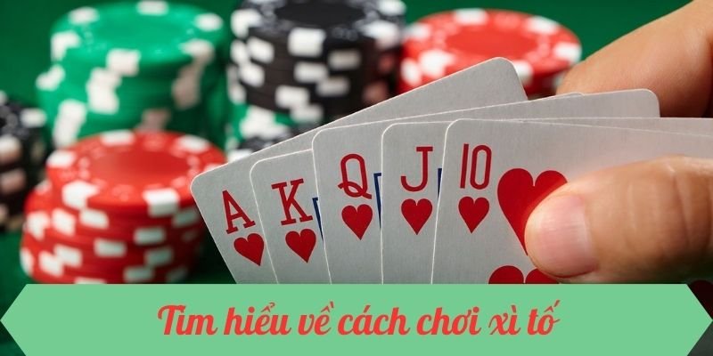 Tìm hiểu cách chơi xì tố