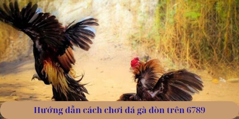 Hướng dẫn cách chơi đá gà đòn trên 6789