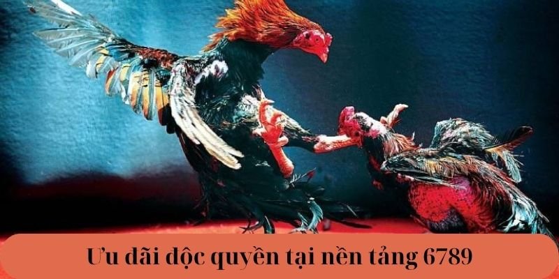 Ưu đãi độc quyền tại nền tảng 6789