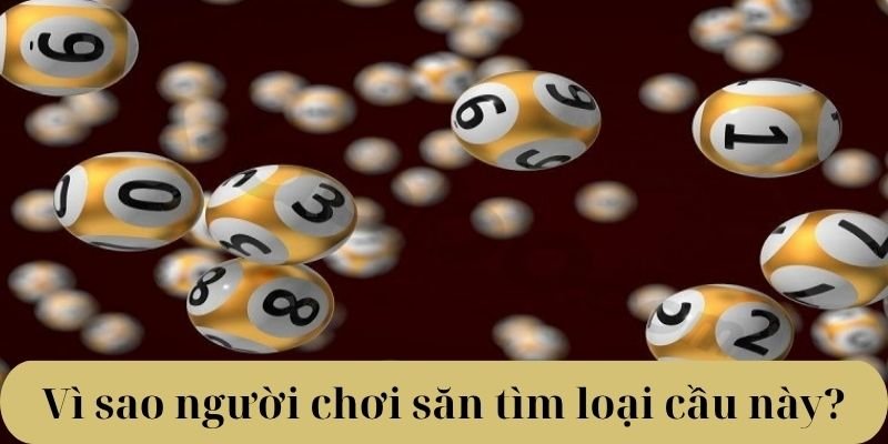 Vì sao người chơi săn tìm loại cầu này?