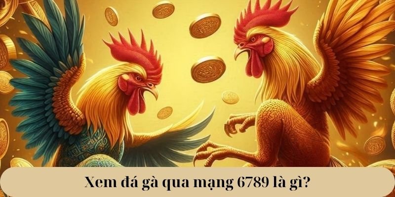 xem đá gà qua mạng