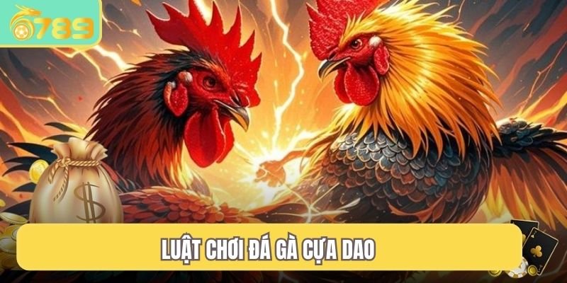 Luật chơi đá gà cựa dao